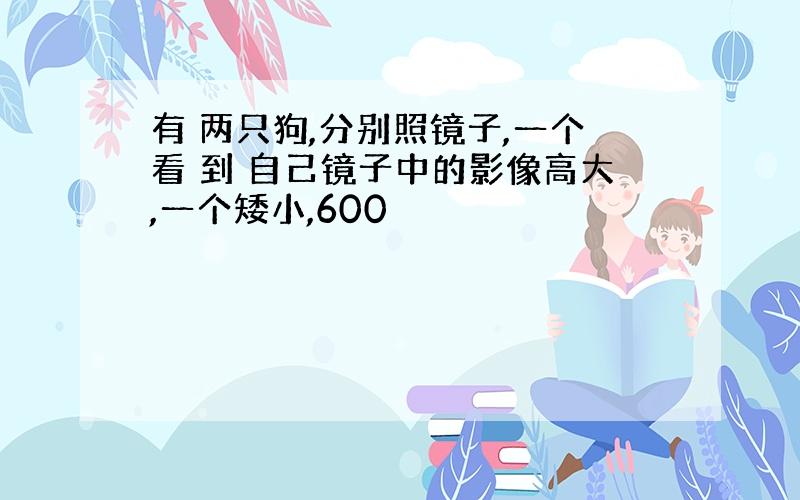 有 两只狗,分别照镜子,一个看 到 自己镜子中的影像高大,一个矮小,600