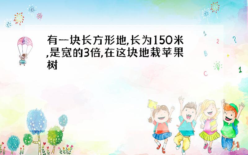 有一块长方形地,长为150米,是宽的3倍,在这块地栽苹果树