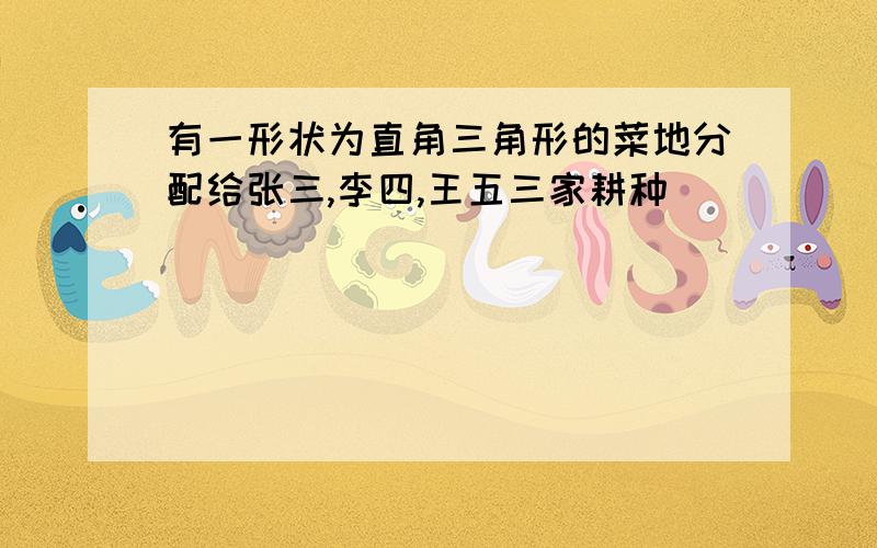 有一形状为直角三角形的菜地分配给张三,李四,王五三家耕种