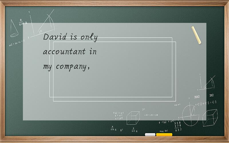 David is only accountant in my company,