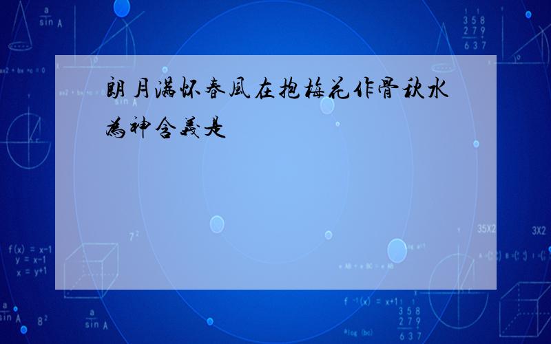 朗月满怀春风在抱梅花作骨秋水为神含义是