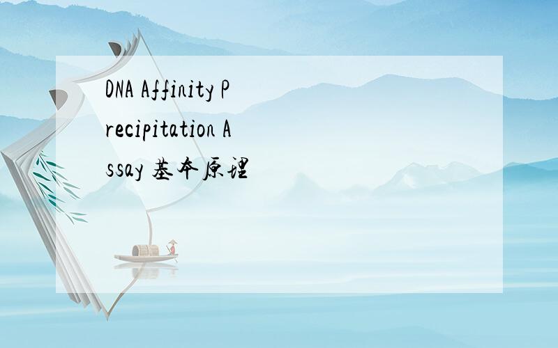 DNA Affinity Precipitation Assay 基本原理