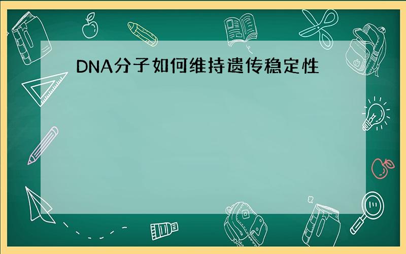 DNA分子如何维持遗传稳定性