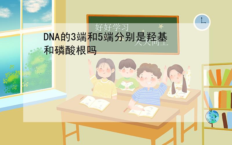 DNA的3端和5端分别是羟基和磷酸根吗