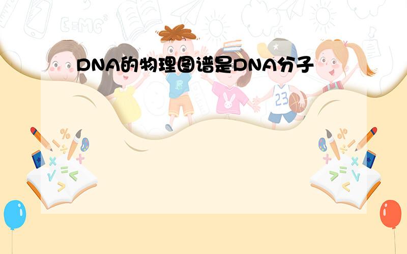 DNA的物理图谱是DNA分子