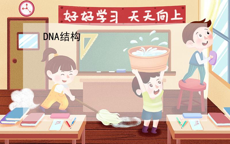 DNA结构