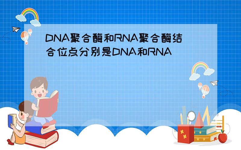 DNA聚合酶和RNA聚合酶结合位点分别是DNA和RNA