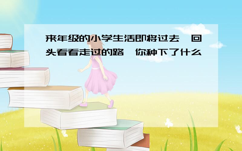 来年级的小学生活即将过去,回头看看走过的路,你种下了什么,