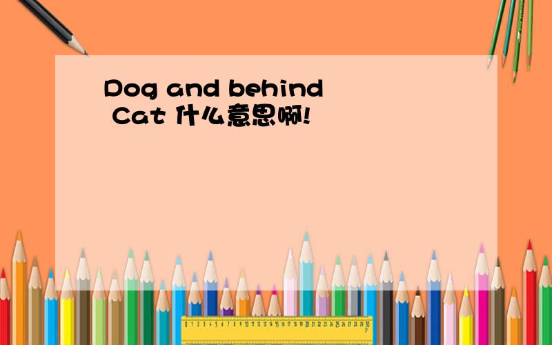 Dog and behind Cat 什么意思啊!