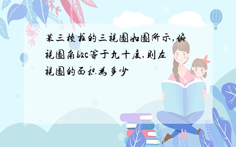 某三棱柱的三视图如图所示,俯视图角bac等于九十度,则左视图的面积为多少