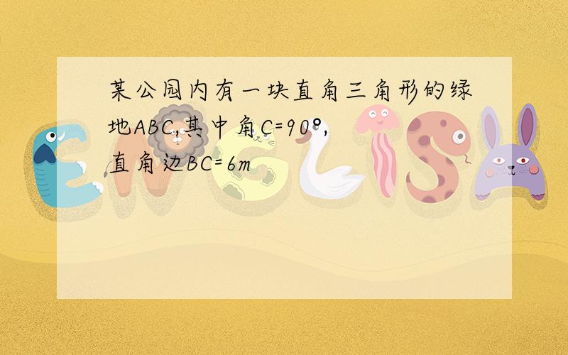 某公园内有一块直角三角形的绿地ABC,其中角C=90°,直角边BC=6m