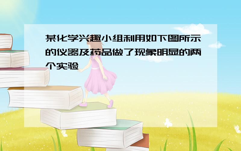 某化学兴趣小组利用如下图所示的仪器及药品做了现象明显的两个实验