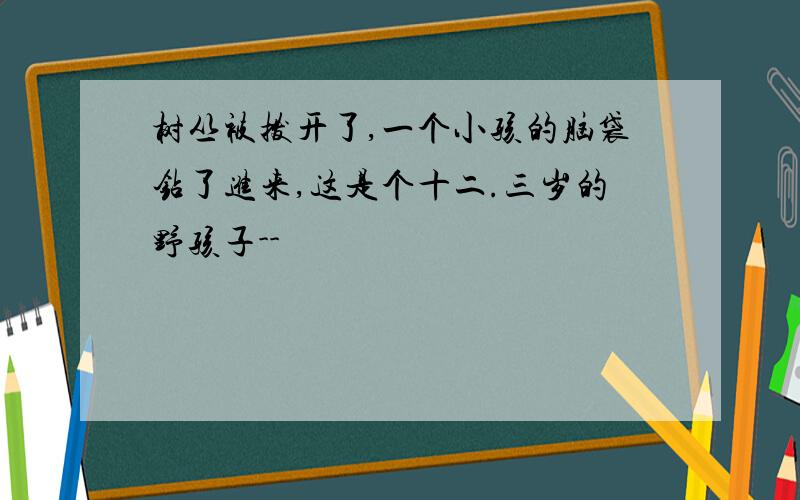 树丛被拨开了,一个小孩的脑袋钻了进来,这是个十二.三岁的野孩子--