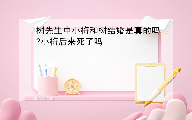 树先生中小梅和树结婚是真的吗?小梅后来死了吗