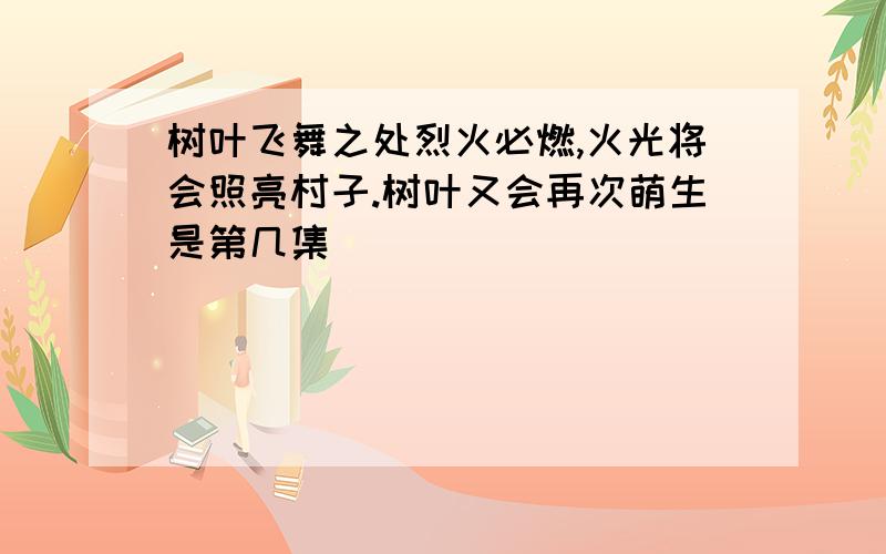 树叶飞舞之处烈火必燃,火光将会照亮村子.树叶又会再次萌生是第几集