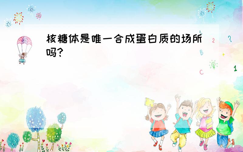 核糖体是唯一合成蛋白质的场所吗?