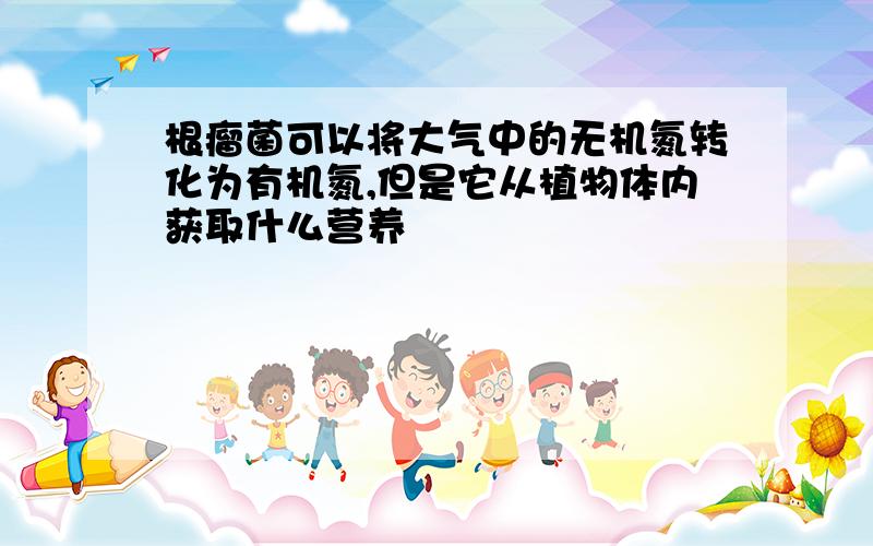 根瘤菌可以将大气中的无机氮转化为有机氮,但是它从植物体内获取什么营养