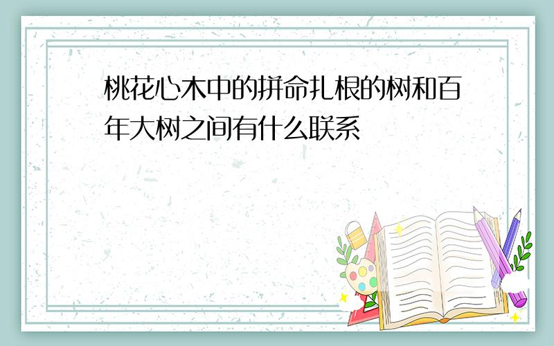 桃花心木中的拼命扎根的树和百年大树之间有什么联系