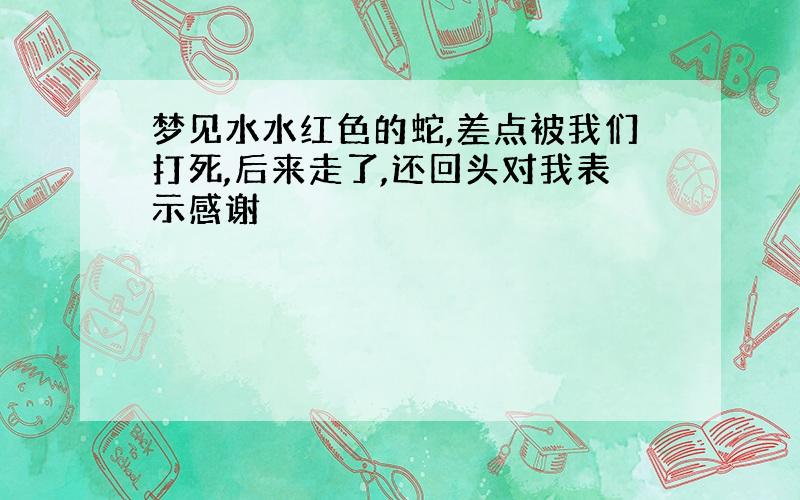 梦见水水红色的蛇,差点被我们打死,后来走了,还回头对我表示感谢