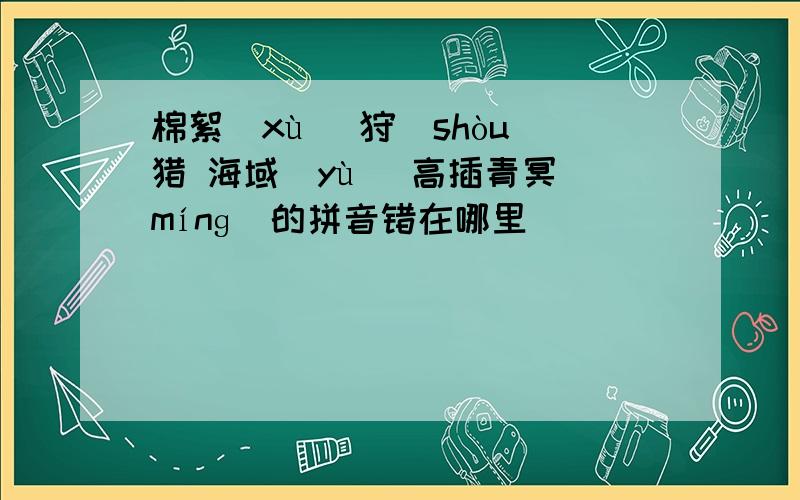 棉絮(xù) 狩(shòu)猎 海域(yù) 高插青冥(mínɡ)的拼音错在哪里