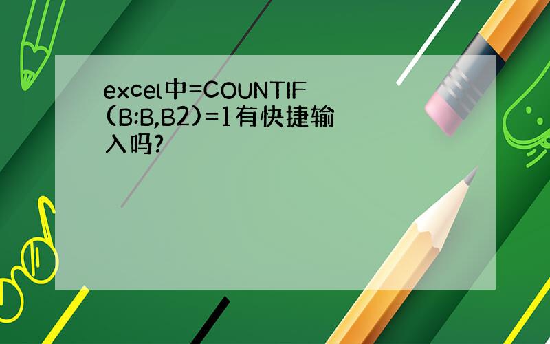 excel中=COUNTIF(B:B,B2)=1有快捷输入吗?