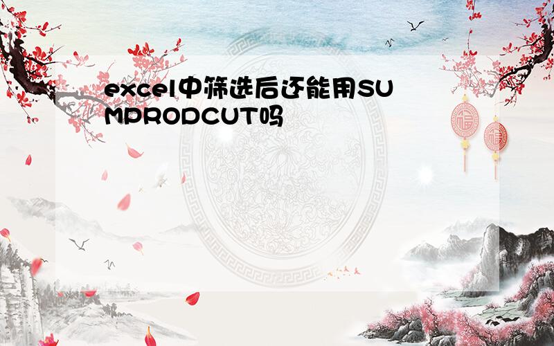 excel中筛选后还能用SUMPRODCUT吗