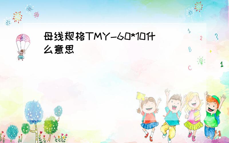 母线规格TMY-60*10什么意思