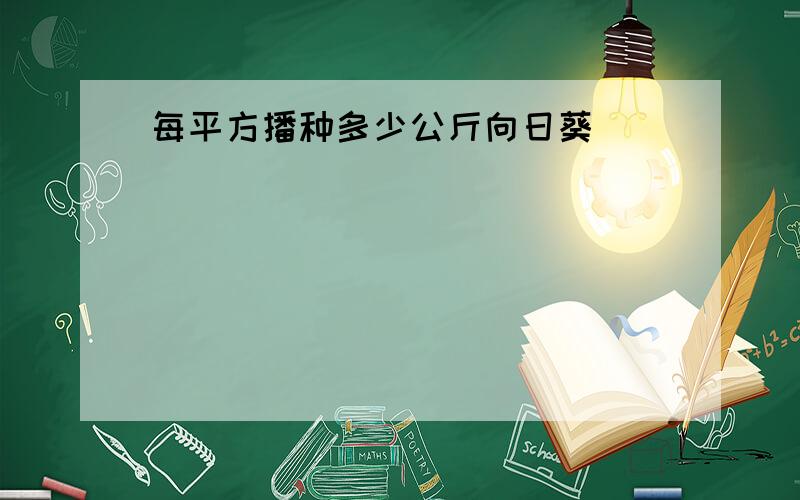 每平方播种多少公斤向日葵