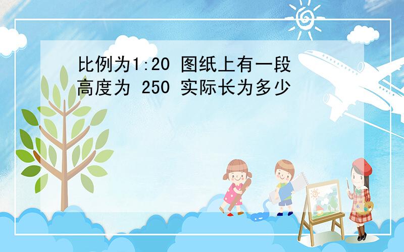 比例为1:20 图纸上有一段高度为 250 实际长为多少