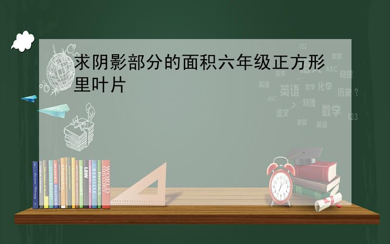 求阴影部分的面积六年级正方形里叶片