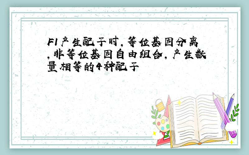 F1产生配子时,等位基因分离,非等位基因自由组合,产生数量相等的4种配子