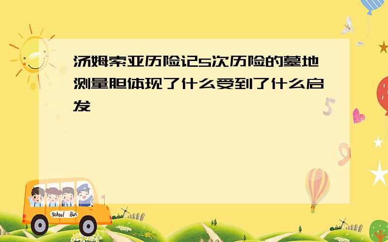 汤姆索亚历险记5次历险的墓地测量胆体现了什么受到了什么启发