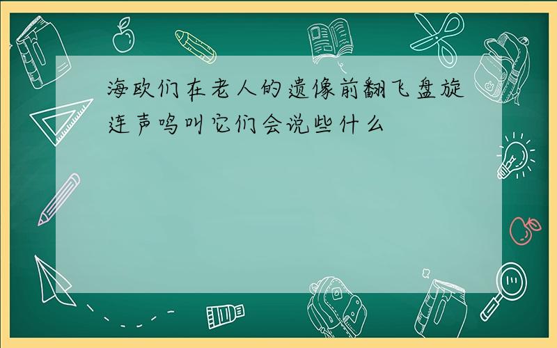 海欧们在老人的遗像前翻飞盘旋连声鸣叫它们会说些什么