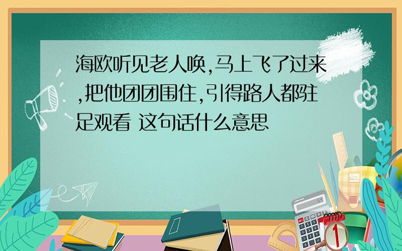 海欧听见老人唤,马上飞了过来,把他团团围住,引得路人都驻足观看 这句话什么意思