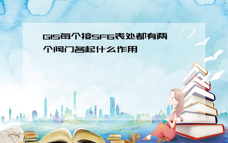 GIS每个接SF6表处都有两个阀门各起什么作用