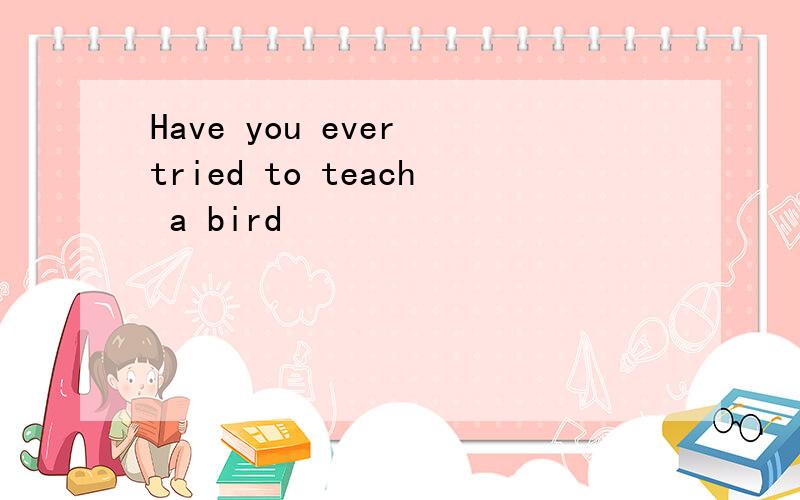 Have you ever tried to teach a bird