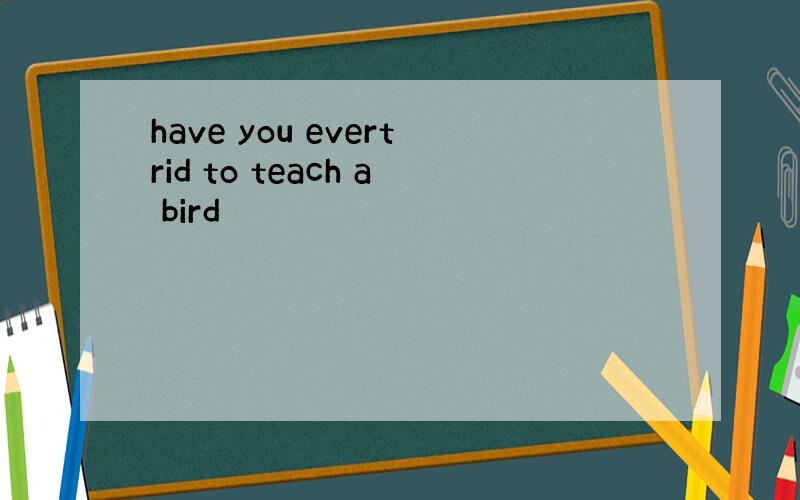 have you evertrid to teach a bird