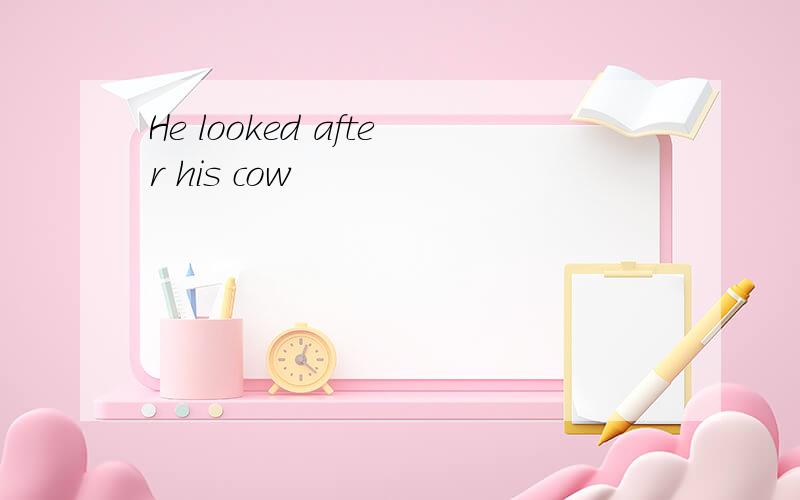 He looked after his cow