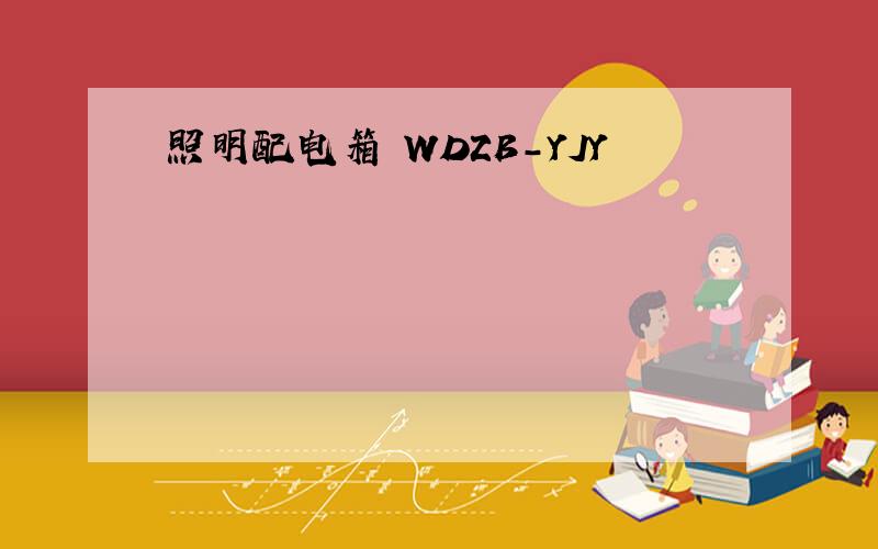 照明配电箱 WDZB-YJY