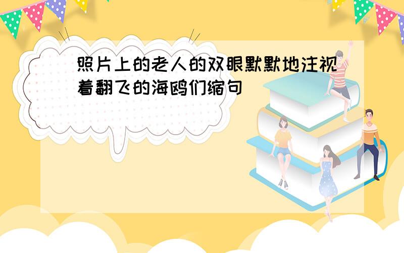 照片上的老人的双眼默默地注视着翻飞的海鸥们缩句