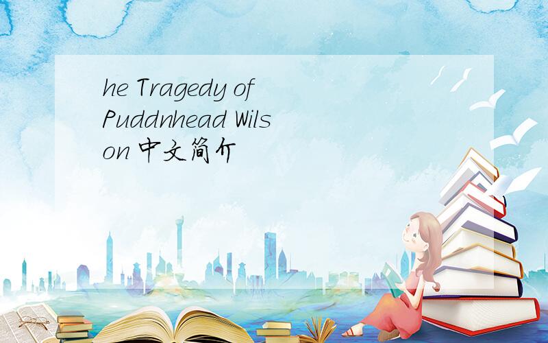 he Tragedy of Puddnhead Wilson 中文简介