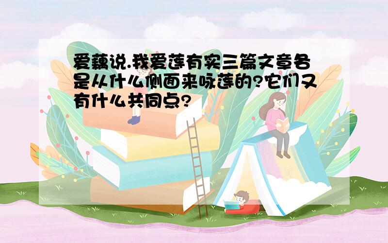 爱藕说.我爱莲有实三篇文章各是从什么侧面来咏莲的?它们又有什么共同点?