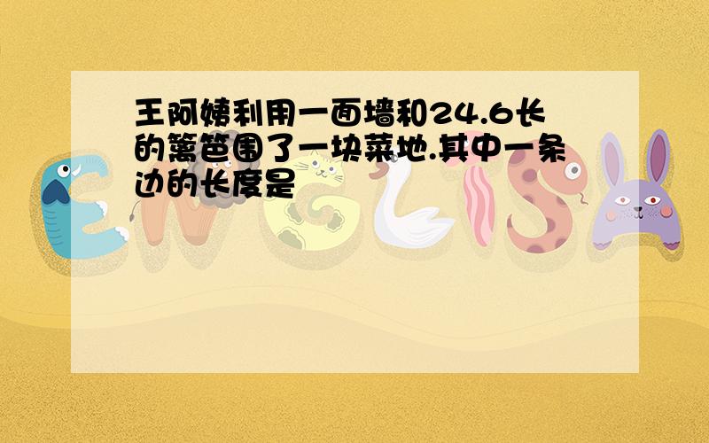 王阿姨利用一面墙和24.6长的篱笆围了一块菜地.其中一条边的长度是