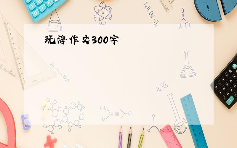 玩海作文300字