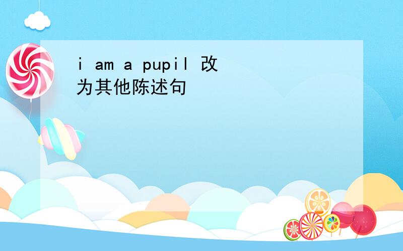 i am a pupil 改为其他陈述句