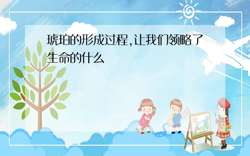 琥珀的形成过程,让我们领略了生命的什么