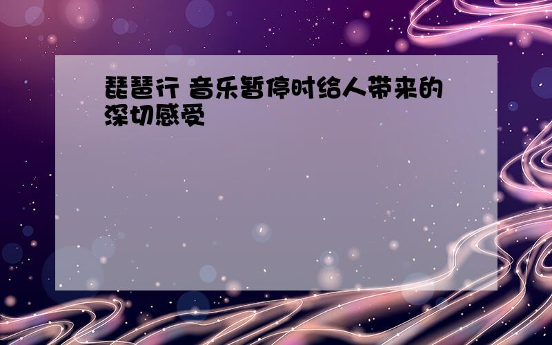 琵琶行 音乐暂停时给人带来的深切感受