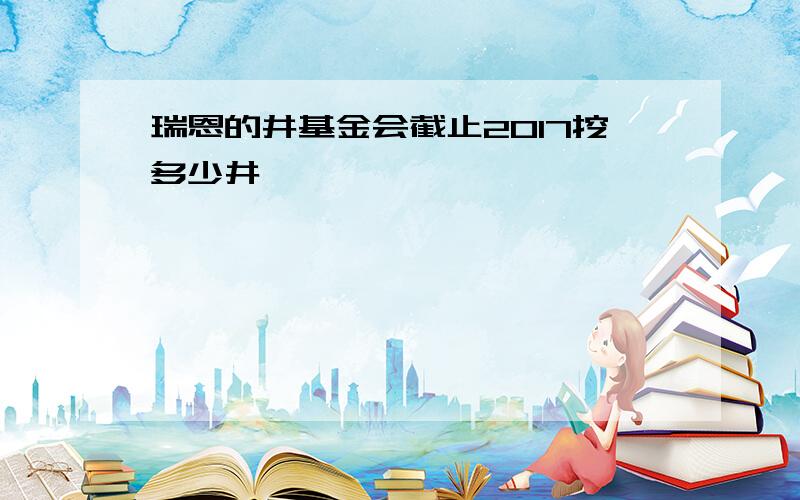 瑞恩的井基金会截止2017挖多少井