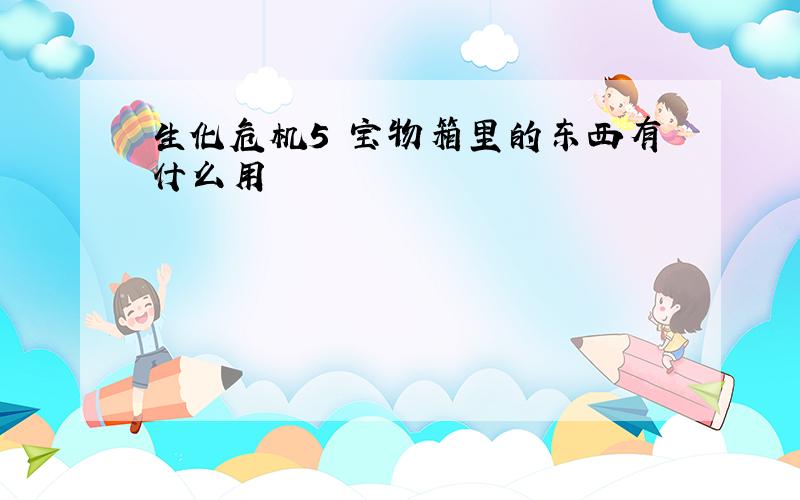 生化危机5 宝物箱里的东西有什么用