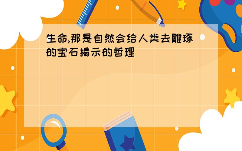 生命,那是自然会给人类去雕琢的宝石揭示的哲理